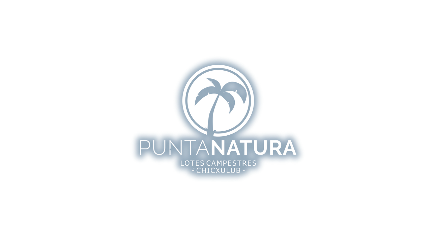 Punta Natura Logo